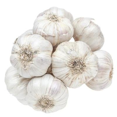 Garlic bunch of 6
